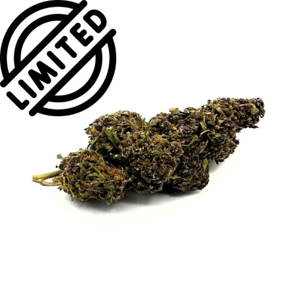 PURPLE CITRUS G.H